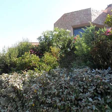 Mediterranea *